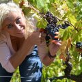 Terroir X